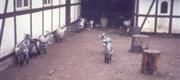 1970 Zoo i Odense