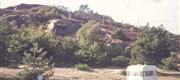 1971 Bornholmsturen