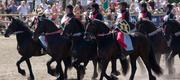 06-08 Roskilde Dyrskue