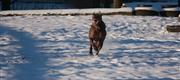 02-05 Vinterdag